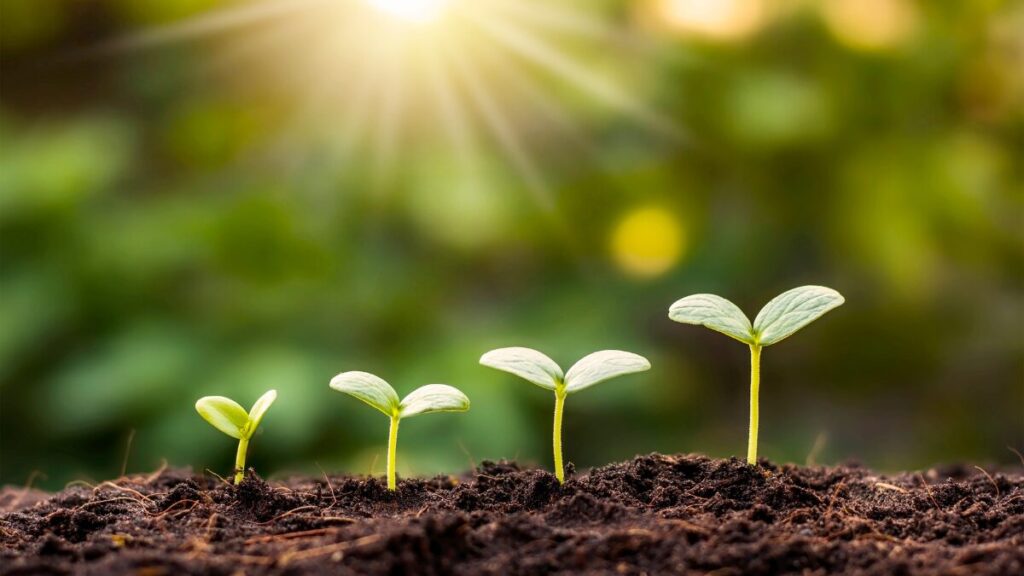 ピヨログで見える化育児